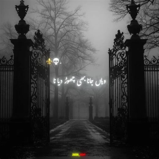 #CapCut #Hanjii 💀🔥#TRUNDING🖤🔥 #CapCut #🥂💀🔥