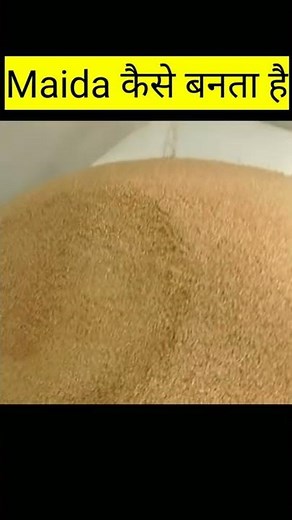 Maida कैसे बनता है Maida How it's made. 😱😱