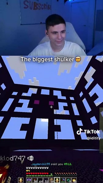 Biggest Shulker Build in Minecraft | DONUT SMP