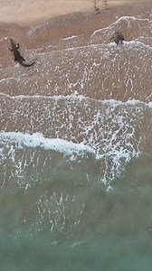 Heaven 🐊🐢🦈 It was a real celebrity shin dig up in the Cape. I tried to get all of them in one shot , so in the bottom of the screen you can just make out two sharks . There were so many sharks and some very large but just could see their fins mostly ( definitely no swimming here ) . Not sure what types of sharks these are ? So maybe someone here knows ? There were litteraly hundreds of turtles, all flat backs . Only the largest of the crocs could eat one of these adults they are about 70kg an