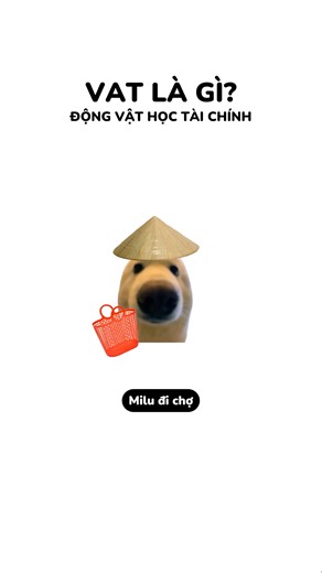Học về VAT để khỏi bỡ ngỡ khi nhận hoá đơn nha ✨ #dongvathoctaichinh