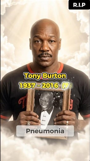 Gone but Not Forgotten: 8 Rocky Actors We Lost #rocky #actionmovies