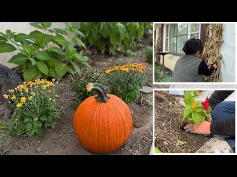 🍁 Fall Garden Makeover | Planting Mums, Celosia, Kale & Corn Stalks 🌽 at my Parents House