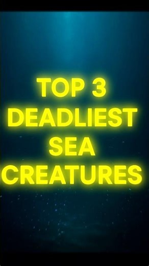 Top 3 Deadliest Sea Creatures 🪼 Nature’s Silent Killers | INFINIAFACTS