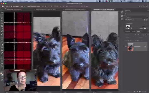 Photoshop Magic Minute How to Bring Files Together in a Single D#Photoshop #photoshoptricks #photoshoptutorial #photoshopediting #Photoshoptiktok