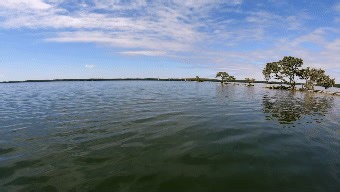  Read SFWMD staff updates on weather, water, and other ecological conditions from across South Florida in the latest Weekly Environmental Conditions Report. Visit SFWMD.link/47Exr4B to read the latest update. | South Florida Water Management District | Facebook