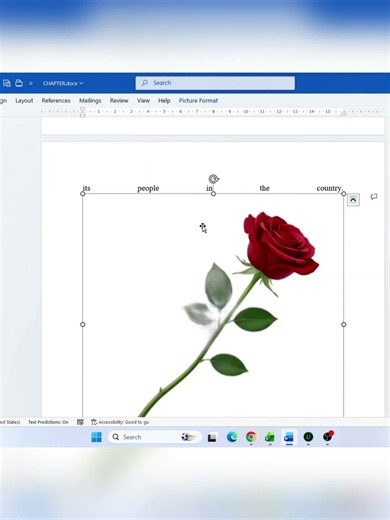 How to Insert a Background Image Behind Text in MS Word | Easy Word Trick! #MSWord #Tips #Tutorial