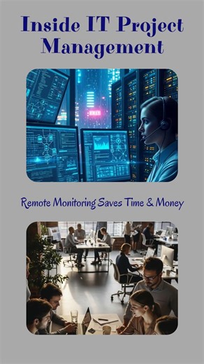 Inside IT Project Management