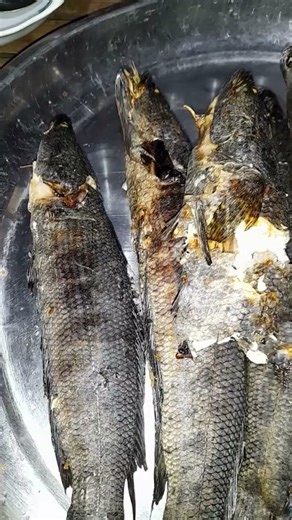 Strange Catch, Perfect Grill