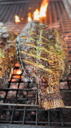 🔥 Charcoal-Grilled Tilapia Perfection 🔥 Slow-grilled over open flames for that smoky finish, seasoned to perfection, and served juicy on the inside with a crispy skin 😮‍🔥🐟 This is real flavour, real fire, no shortcuts. Perfect for when you want something light, tasty, and deeply satisfying. 🔥 Fresh off the grill 🌶️ Bold African spices 😋 Pure enjoyment #GrilledTilapia #CharcoalGrilled #AfricanFood #SmokyFlavours #AfroEatGrills