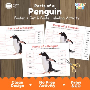 Parts of a Penguin Labeling Activity | Bird Anatomy Poster | Science Centers