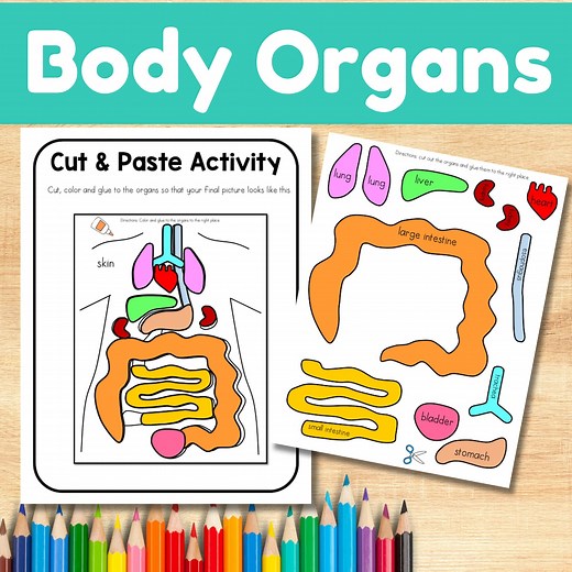 Human Body Organs Interactive Cut and Paste Worksheets - Etsy