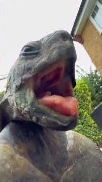 Turtles Are Always Up to Something 😂 #shorts #animals #funnyvideo