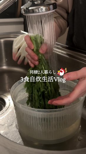 春菊を使った簡単レシピで食欲管理