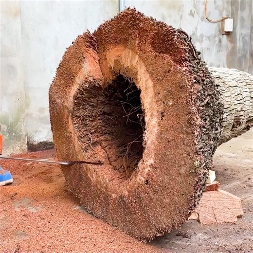 1.4M views · 15K reactions | The Creative Idea Of ​​An 18 Year Old Boy Resulted In A Unique Dining Set Designed From A 500 Year Old Tree Stump | WT HD Woodworking | Facebook