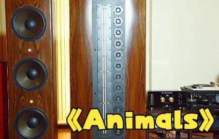 喜欢听动感音乐的朋友有听感了，DJ神曲《Animals》现场版
