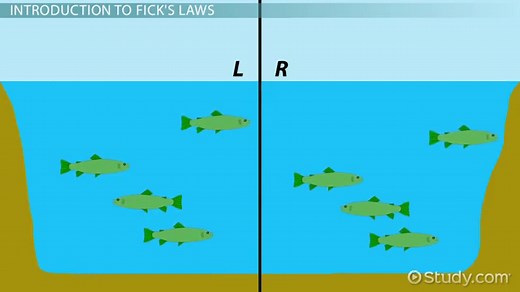 Fick's First Law of Diffusion | Equation & Example