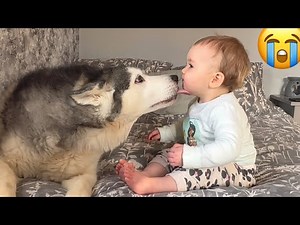 Baby & Husky Wake Up in The Cutest Way!! Baby Asks For Kisses!😭.
