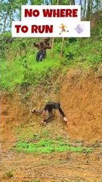 Honey Hunt Gone Wrong - The Attack That Nearly Ended Everything