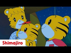 ⛺ Camping Is Fun! ✨ Until It Starts to Rain… 🌧️ | Full Episode #326 | Shimajiro 🐯