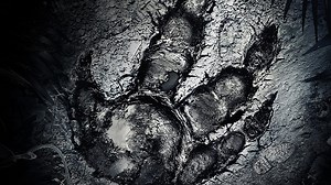 Evolve para PC ya ha publicado su parche 1.1