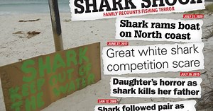 Sharks in Tasmania: a brief history of attacks and close encounters