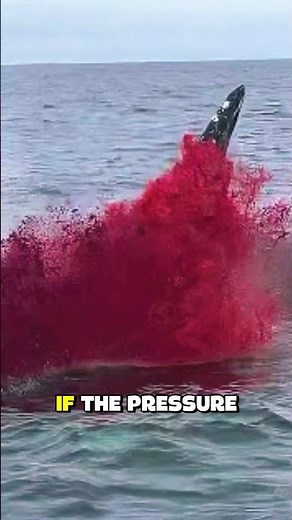 Why Do Whales Explode Like Bombs #facts #animals #wildlife