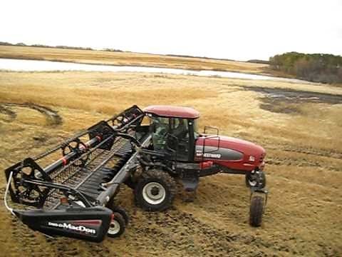 Case IH 8010 combine in oats.