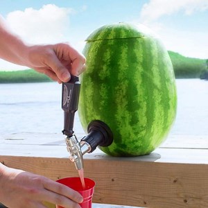 Everything You Need to Make a Watermelon Keg