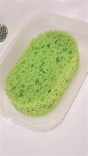 Давненько мы с вами ничего не морозили 💚😋 Хвойная губка🌲. Позже будем пенить 🫶 #cleaningtiktok #cleantok #asmr #sponge #хвоя