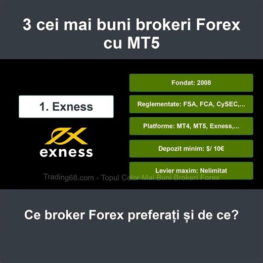 Cei Mai Buni 3 Brokeri Forex MT5 | Clasamentul Top Brokeri Forex | 0508