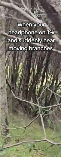 #whosthere 😶‍🌫️😬😵