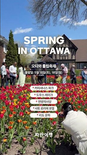 🌷오타와 튤립축제처음 가신다면 여기부터 저장✨ 🚨 봄 한정 특가 C$155 → C$99 #오타와튤립축제 #오타와 #캐나다여행#캐나다한인여행사 #토론토한인여행사