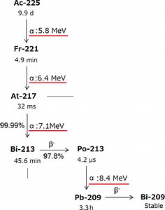 Real-time trajectory imaging of alpha particles emitted from actinium-225 and its daughter radionuclides - Scientific Reports