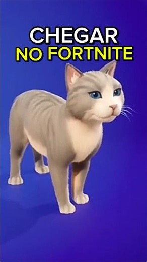 This Fortnite cat is hiding a secret! 😱