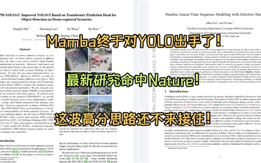 Mamba终于对YOLO下手了！最新思路发了Nature！这泼天的高分思路还不趁热接住！