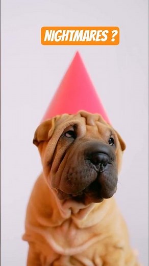 Can Dogs Have Nightmares? How To Tell #dogdreams