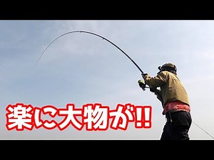 投げて待つだけ！簡単カゴ釣りで大物を狙う！【カゴ釣り】