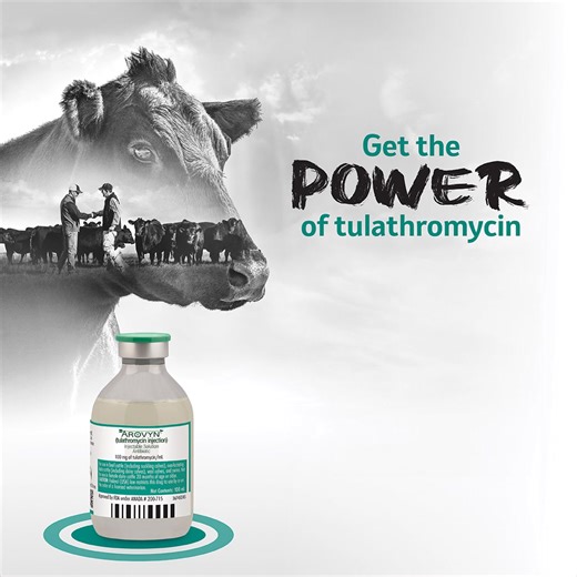 Fall stress puts cattle at risk. Make the first shot count with Arovyn™ (tulathromycin injection) from Merck Animal Health. | Drovers
