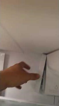 Frigidaire Gallery leaking water