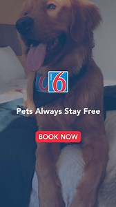 They’re all packed and ready for a budget-friendly, pawesome road trip. Where will you and your four-legged friend go? 🐕 | Motel 6