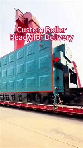 Reliable Custom Biomass Chain Grate Steam Boiler