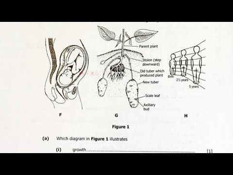 2025 BIOLOGY PAPER 2 QUESTION 1 G12 INTERNAL