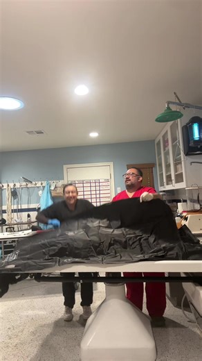 Excitement Before Embalming: A Fun Take on Funeral Prep