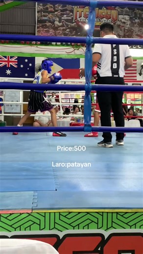 Understanding Boxing Culture and Its Pricing