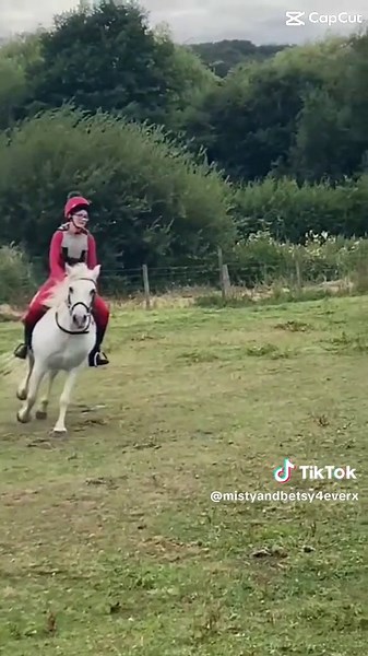 betsyownsmistyx on TikTok