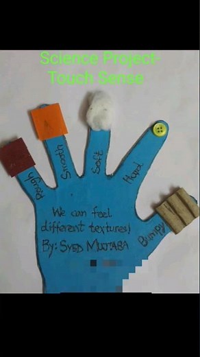 sense of touch texture activity || science project #shorts