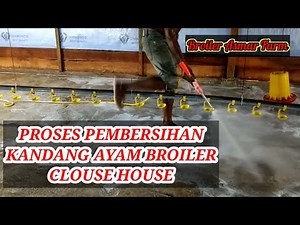PROSES PEMBERSIHAN KANDANG CLOUSE HOUSE AYAM BROILER