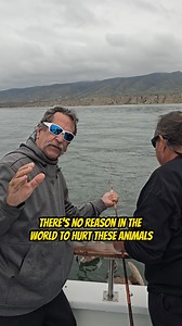 31K views · 370 reactions | What to do if you hook a Pelican while...