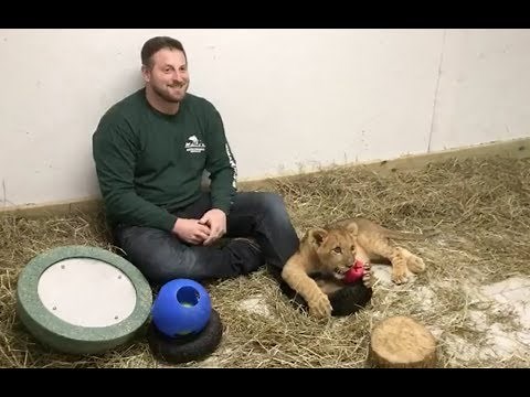 Meet Animal Adventure's Newest Addition Bisa!